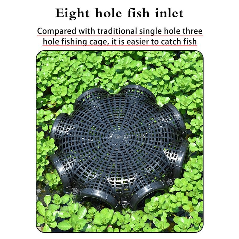 Fish Net Cage